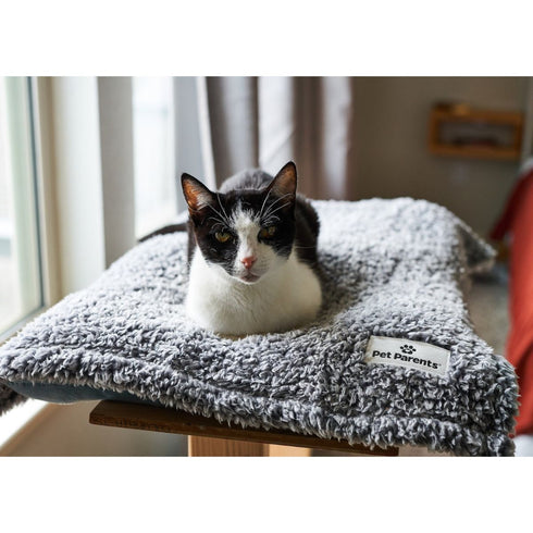 Pet Parents Pet Blanket Large Slate - Poudre Pet & Feed Supply 7